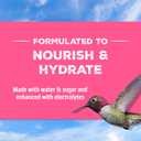 Pennington Electro-Nectar Hummingbird Nectar Ready to Use, Naturally Colored with Electrolytes, 64-oz Bottle