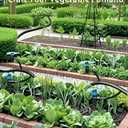 35Pcs Push-to-Fit Drip Irrigation Emitters for 1/4" Irrigation Tubing,360 Degree Adjustable Water Flow Emitters Irrigation Drippers for Garden Watering System