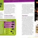 Absolute Expert: Dinosaurs: All the Latest Facts from the Field