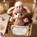 Mini Bunny Hug Cute Easter Gift Plush 2025 Bunny in a Box Hugs Positive Bunny Stuffed Animal Rabbit Soft Floppy Easter Ideas Bunnies Basket Stuffers Doll Emotional Support Inspirational Gifts (D1)