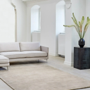 Brown Rug 32x57 Inches