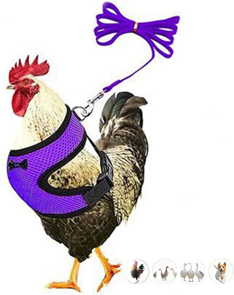Chicken Harness and leashset,Duck Harness Adjustment Mesh, Purple S