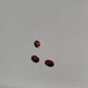 100pcs 14x10mm Oval Flat Back Rhinestones 3D, Acrylic AB Colour Face Gems for Crafting, DIY Gemstones Jewels Card Making Embelishments, Clothes, Shoes, Hats Accessories Crafts (Black AB)