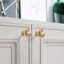 10 Pack Gold Cabinet Knobs for Kitchen Cabinets and Dresser DrawersZinc Alloy Brushed Brass Hardware Handles PullsVintage Cupboard Drawer Knob