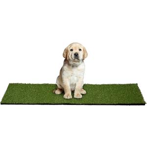Garland Rug Outdoor Artificial Grass Puppy Pad 24" x 48" Non-Toxic, Realistic Turf with Drainage Holes & Easy-Clean Design, Perfect for Patios & Backyards