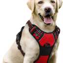 rabbitgoo Dog Harness, No-Pull Pet Harness with 2 Leash Clips, Adjustable Soft Padded Dog Vest, Reflective No-Choke Pet Oxford Vest with Easy Control Handle for Large Dogs, Red, Large 
