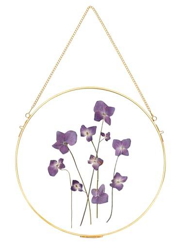 REDHUGO Handmade Glass Frame for Pressed Flowers, Wall Hanging Brass Floating Double Glass Round Picture for Dried Flowers Poster, Home Wall Decor, Circle, Gold (FRAME ONLY)