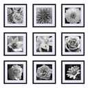 eletecpro 16x16 Picture Frames Set of 9, Classic Gallery Wall Frame Set for 4x4 Photos with Mat or 16x16 without Mat, Large Picture Frame for Art Prints, Black Poster Frames for Home Decor Wall