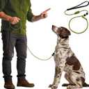 BeauGo|Dog Leash Slip Lead|Dog Training Leash,Trainer Rope Designed for DogTraining and NGKC Competition,No Pull Dog Lead & Collar,Trainer Rope for Small Medium Large Dogs.Slip Leads for Dogs 6 FT (DARK GREEN)