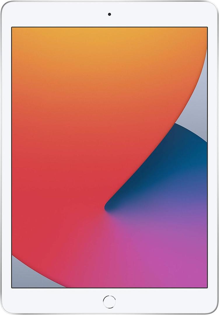 Apple iPad (10.2-inch, Wi-Fi, 32GB) - Silver (Latest Model, 8th Generation) 