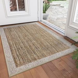 Front Door Mat 2x3, Non-Slip Indoor Mat Entrance, Washable Doormat for Front Indoor Entryway, Soft Low Pile Entryway Rug