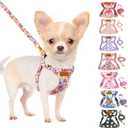 Lukovee Puppy Harness and Leash Set, No Pull Lightweight Soft Suede Adjustable Pet Harness Vest with Snap Buckle for Puppy Small and Medium Size Dog (Flower-XS) (X-Small ( 4.5-11lb ))