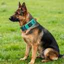 Tactical Dog Collar, Airtag Dog Collar, Dog Collar with Airtag Holder & Handle, 2" Military Heavy Duty Reflective Nylon Dog Collar with Metal Buckle for Large Dogs (Teal, L,XL)