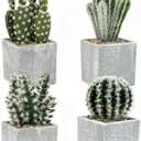Airbirhom 4Pcs Realistic Faux Cactus Set, Lifelike Resin Mini Cacti in Pots - No-Care Artificial Plants for Home Office Desk Decor, Shelf, Party - Durable, Easy Clean, for Plant Lovers