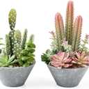 2-Pack Artificial Succulent Plants in Vintage Plastic Pots - Waterproof Fake Plants Decor for Home Office Desk - Low Maintenance Indoor Greenery for Bathroom, Shelf & Table