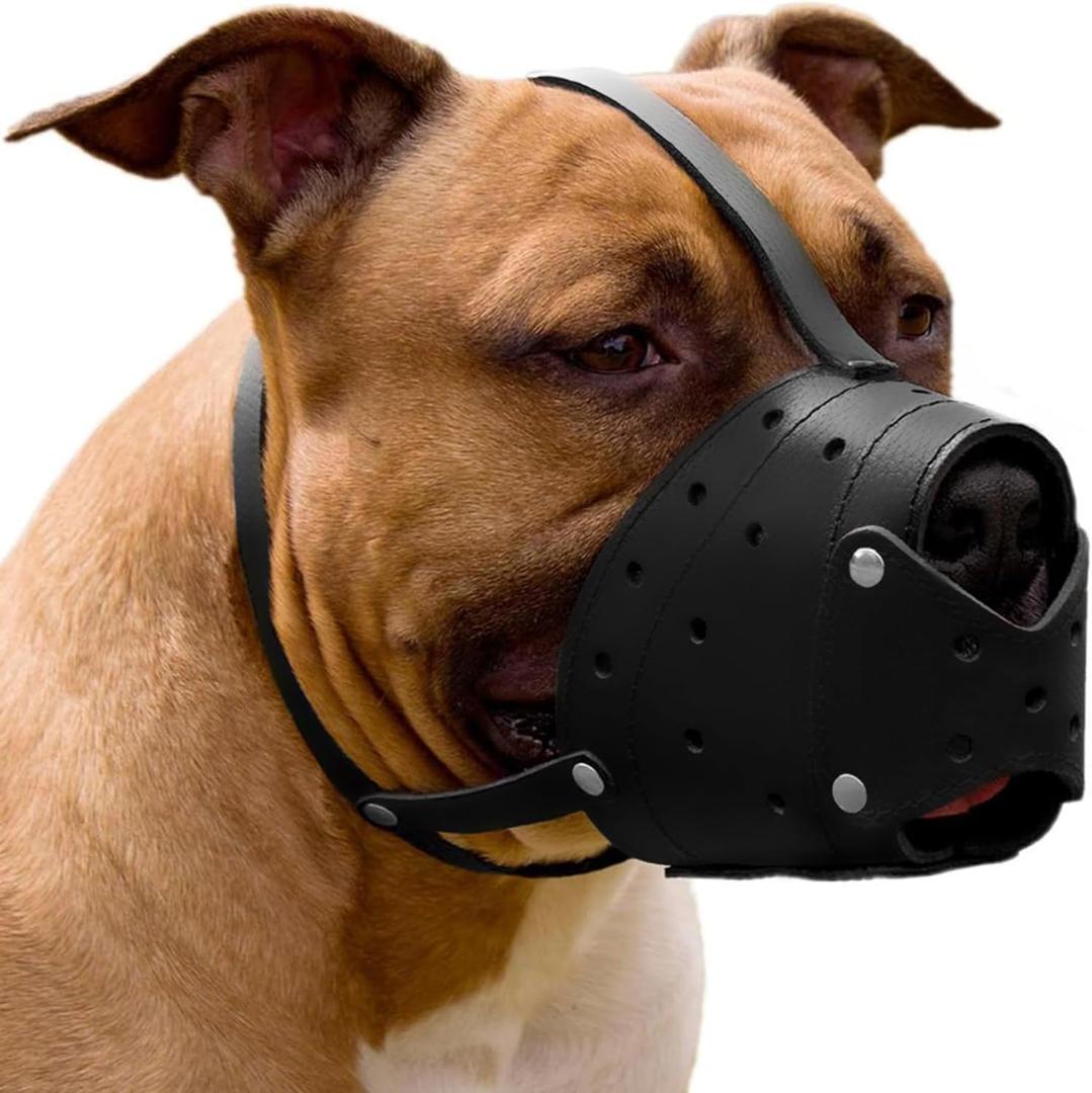 CollarDirect Leather Basket Dog Muzzle for German Shepherd Staffordshire Terrier Pitbull Medium Large Breeds Training, Anti-Barking, Biting, Chewing (Black)
