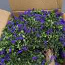 HyeFlora 2 Pack Artificial Topiary Boxwood Ball Trees with Lavender Fake Plants for Outdoor Indoor Artificial Shrubs with Ground Spike UV Resistant Fake Bushes for Front Porch Garden (Purple Lavender)