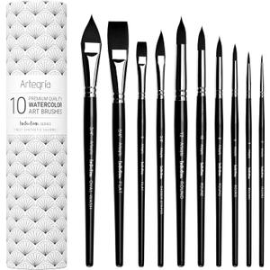 ARTEGRIA Watercolor Brush Set, 10 Professional Soft Synthetic Squirrel Paint Brushes, Including Pointed Rounds, Flats, Dagger, Oval Wash