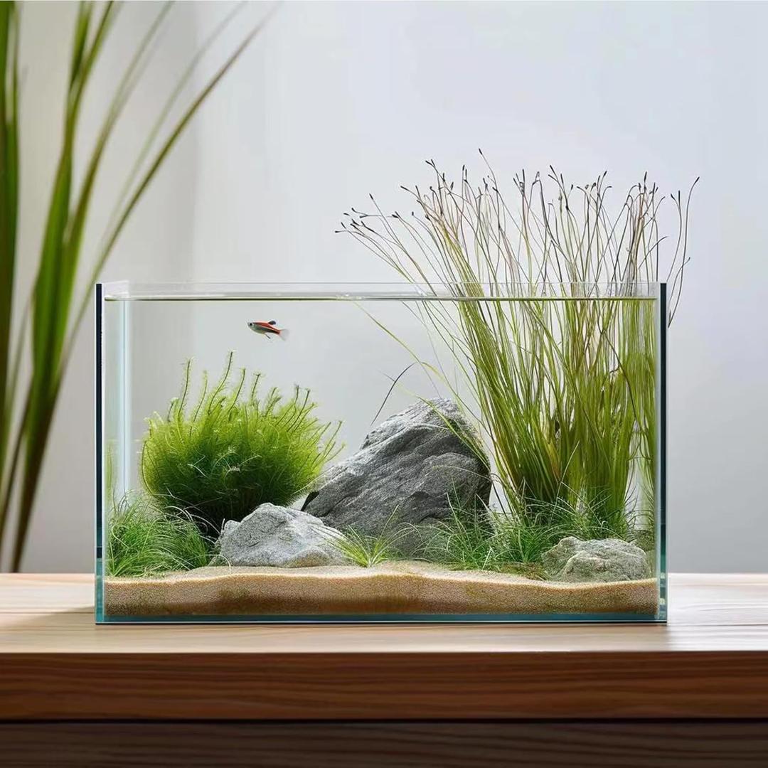 3 Gallon Glass Fish Tank, Easy to Maintain Small Aquarium for Betta/Goldfish/Snails/Shrimp and Aquatic Planting
