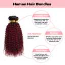 Ombre Burgundy Bundles Human Hair Curly 18 20 22 Inch Jerry Curly T1B/99J Burgundy Human Hair Bundles Brazilian Virgin Hair Quick Weave Bundles for Black Women