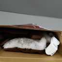 Reindeer Antlers for Cars, LED 2025 Christmas Car Decorations Kit with Jingle Bells, Nose, Tail, Multicolor Light-Up Rudolph Xmas Decor for SUV, Van, Truck