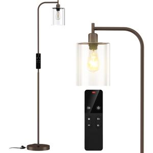 Industrial Floor Lamp with Glass Shade, Modern Dimmable Floor lamp with Remote LED Bulbs, Tall Lamp for Living Room Corner, Bedroom, Office (Bronze)