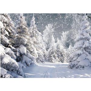 Dudaacvt 7x5FT White Winter Forest Scene Photography Backdrop Wonderland Snowflake Landscape Background for Christmas Xmax Family Holiday Party Decorations Supplies Banner