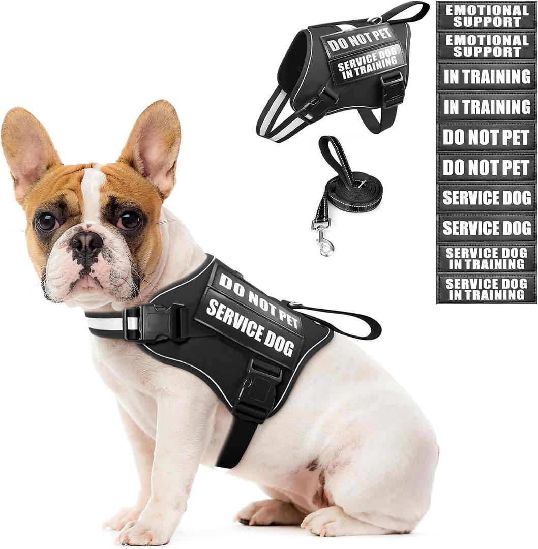 Service Dog Vest Harness and Leash Set+10 Patches,No Pull&Easy Walk Reflective Dog Harness with Soft Padded Handle for Training/Everyday, (Black S)