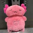 Soft Plush Raccoon Stuffed Animal Toy for Kids - Huggable & Safe ASTM F963-17 Certified, Interactive Light Up & Sound Toy, Perfect Gift for Christmas Birthday Valentine's Day