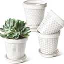 LE TAUCI Ceramic Plant Pots, 4.9 Inch Flower Pots with Drainage Hole & Saucer, Embossed Planter Pots for Indoor Plant Succulent, Orchid, Cactus, Home Decor - Set of 4, Arctic White
