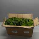 2PCS 9FT Christmas Cedar Garland Artificial Realistic Green Faux Real Touch Winter Pine Garland for Mantle Fireplace Wall Table Indoor Outdoor Decoraiton