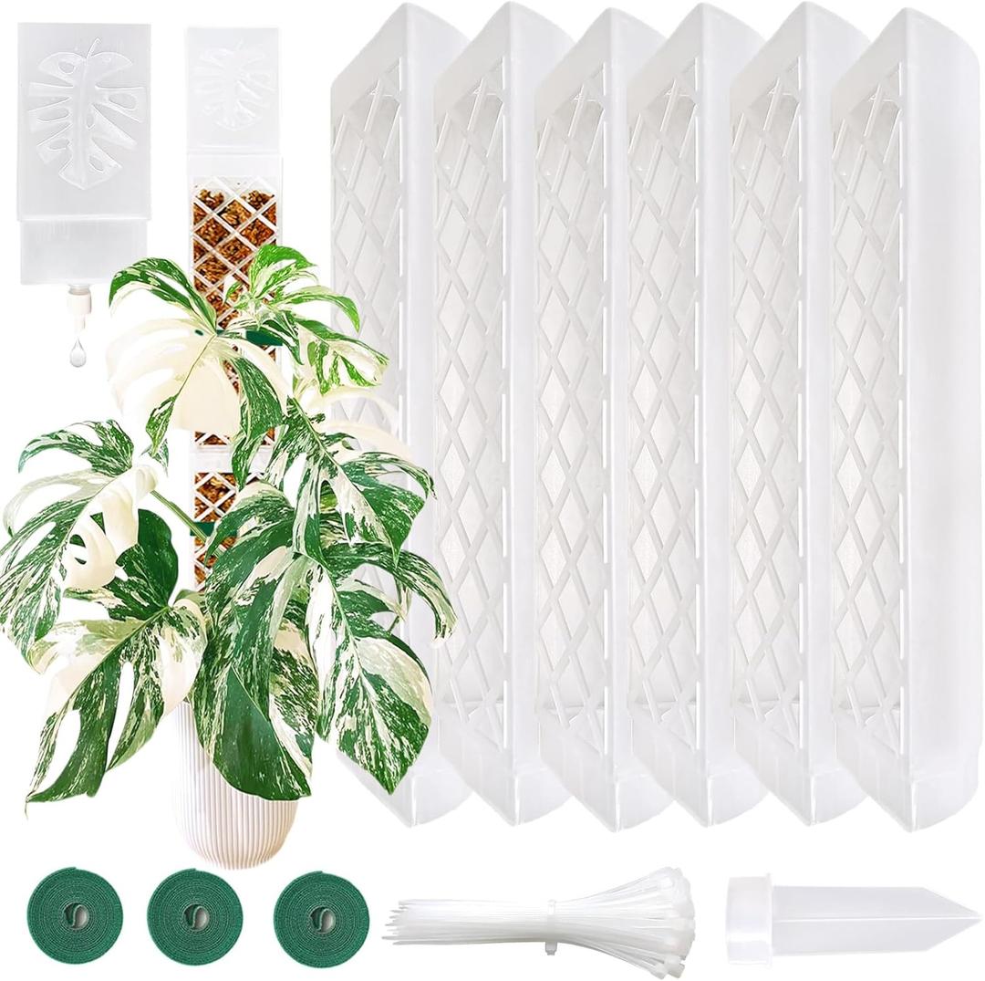 MIIIM 6 Pcs Self-Watering Moss Poles, D Shape Moss Pole Kit for Climbing Plants Indoor, Semi Transparent Monstera Plant Support, 69 Inches in Total Length