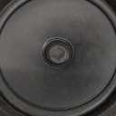 ACDelco GM Genuine Parts 25926188 Front Door Radio Speaker