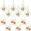 DoubleFill 12 Pcs Hanging Clear Photo Frame Double Glass for Pressed Flower Floating Frame with Chain Display Gallery Artwork Horizontal Vertical Gold Metal Rectangle Wall Decor(4 x 4 Inch)
