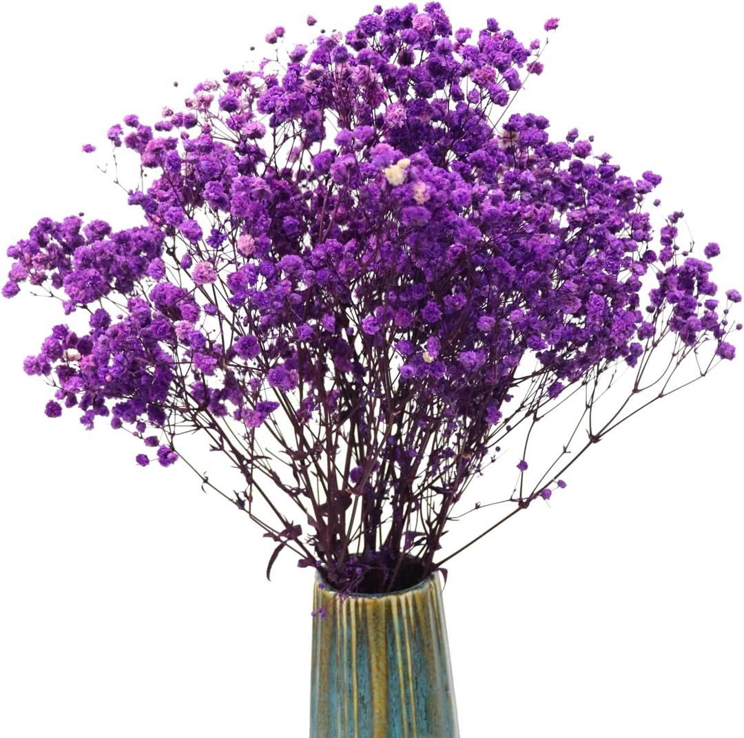 TooGet Purple Dried Flowers Dried Babys Breath Flowrs Bouquet Natural Gypsophila Branches for Home Decor, Wedding, Table Decor, DIY Wreath Floral, Dry Flowers Bulk for Vase