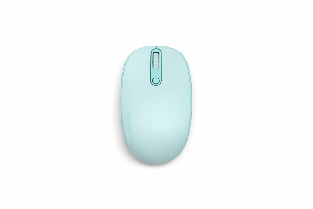 TECKNET Wireless Mouse, 2.4G Quiet Computer Mouse with USB Receiver, 4 Buttons Portable Cordless Mice for Chromebook, Laptop, PC, Mac, 800/1200/1600 DPI 