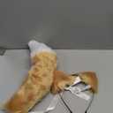 Handmade Fox Wolf Ears Headband and Faux Fur Tail for Halloween Party Costume Accessories (Khaki)