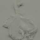 BEAUTELICATE Wedding Bridal Veil with Comb 1 Tier Lace Applique Edge (Ivory - Elbow Length 28")