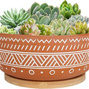 Thirtypot 8 Inch Large Round Terracotta Succulent Planter Pot with Drainage Hole and Saucer, Shallow Bonsai Pot for Indoor