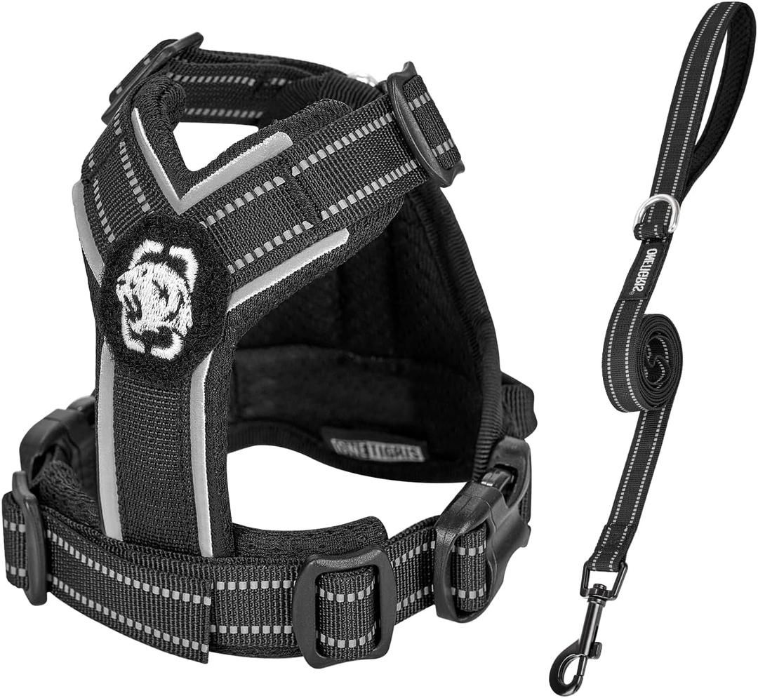 OneTigris Dog Harness and Leash Set, No Pull Soft Mesh Pet Harness, Reflective Adjustable Puppy Vest for ANTZ Small Medium Large Dogs, Cats (Black, XXXS)