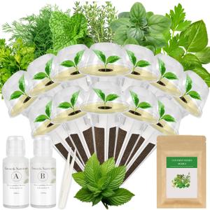 Gourmet Herbs Seed Pod Kit for AeroGarden, iDoo, Ahopegarden, MUFGA Hydroponics Garden with Basil, Parsley, Thyme, Mint, Cilantro, Dill, Oregano - Compatible with All Hydroponics (12-Pod)