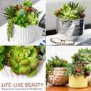 Succulents Plants Artificial 14 Pcs Realistic Premium Fake Succulents Faux for Indoor Outdoor UV Resistant DIY Home Office Decor