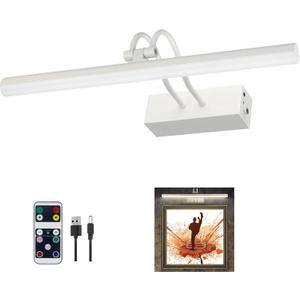 Picture Light,16" Battery Picture Lights for Wall, 2Colors Remote Control Display Art Lighting with Timer and Dimmable for Painting, Frame, Portrait, Dartboard-WH