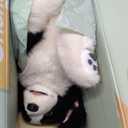 Chongker Realistic Companion Robot Dog Stuffed Animals for The Elderly