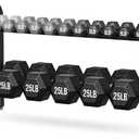2 Tier Dumbbell Rack, Weight Rack for Home Gym, 300 lb Capacity