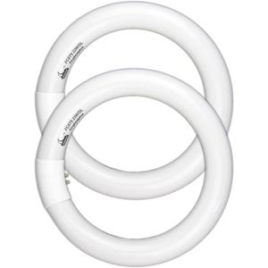 CHKADAWA Circular Bulb FC8T9/DL, 8 Inch T9 22W Circline Fluorescent Light Bulbs, Replacement Round Fluorescent Lamp Tube, Bright Daylight 6400K 1250 Lumens, G10q 4 Pin Base, 2 Pack