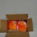 Famoby Sea Shells Mixed Beach Seashells Starfish for Beach Theme Party Wedding Decorations DIY Crafts Candle Making Fish Tank Vase Fillers Home Decorations Supplies 70+ pcs