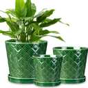 EFISPSS Ceramic Plant Pots, 4+5+6 Inch Pots for Indoor Plants, Flower Pots with Drainage Hole and Tray,Indoor/Outdoor Usage, Modern Style Garden Pots Set of 2 - Patina