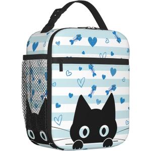 Black Cat Lunch Box Reusable Insulated Lunch Bag Thermal Cooler Tote For Boys Girls Teen School Men Women Picnic Travel Hiking