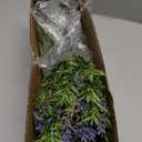 Coreland Fake Lavender Artificial Flowers - 12PCS Lavender Plants Shrubs for Wedding Bouquets Artificial Lavender Flowers Indoor Outdoor Faux Foliage Lifelike Fake Flowers for Decoration